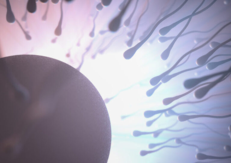 Les testicules : Combien de temps avant d'être pleines ?