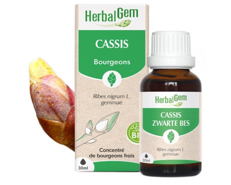 Effets du bourgeon de cassis : délais et efficience